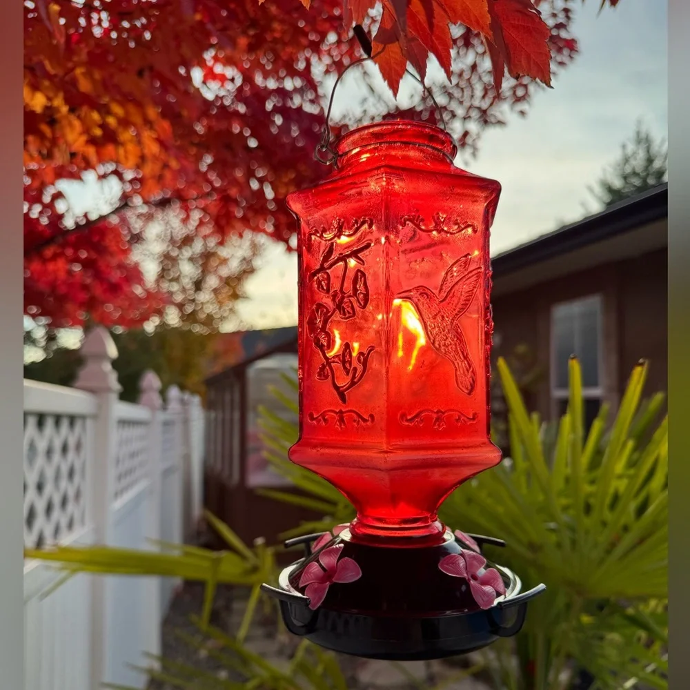 Red Glass Hummingbird Feeder